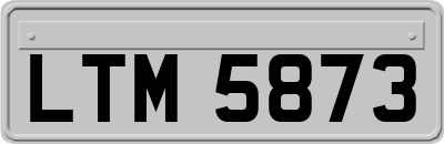 LTM5873