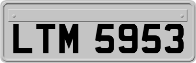 LTM5953