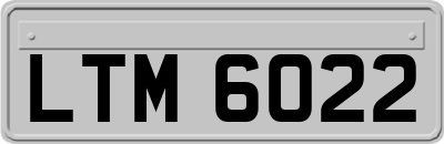 LTM6022