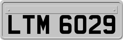LTM6029
