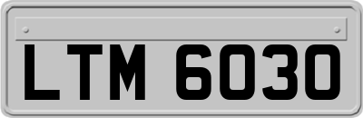 LTM6030