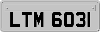 LTM6031