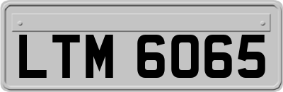 LTM6065