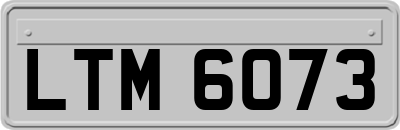 LTM6073