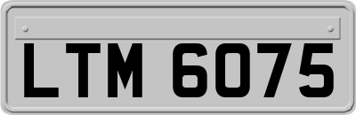 LTM6075