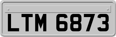 LTM6873