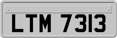 LTM7313