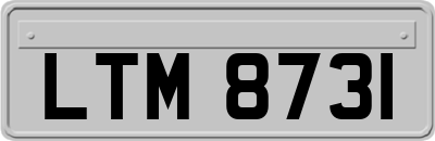 LTM8731