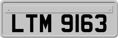 LTM9163