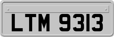 LTM9313