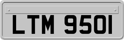 LTM9501