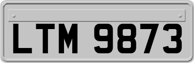LTM9873