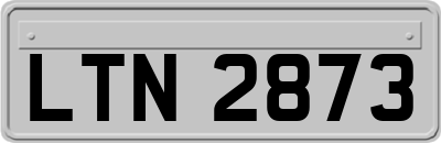 LTN2873