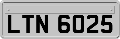 LTN6025