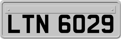 LTN6029