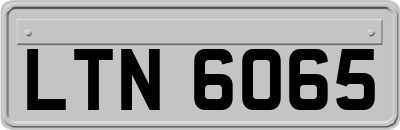LTN6065