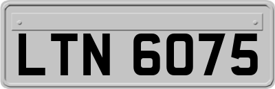 LTN6075