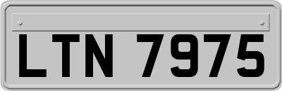 LTN7975