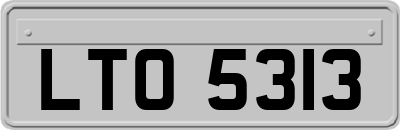 LTO5313