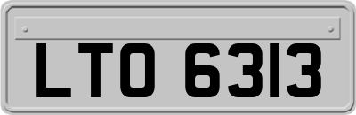 LTO6313