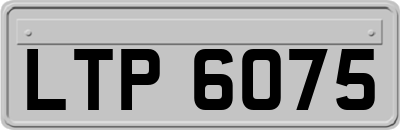LTP6075