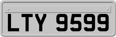 LTY9599