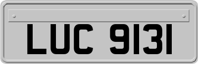 LUC9131