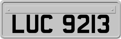 LUC9213