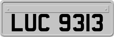 LUC9313