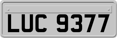 LUC9377