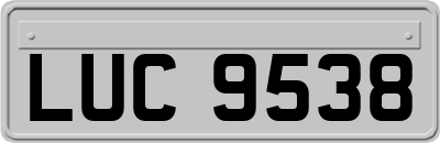 LUC9538