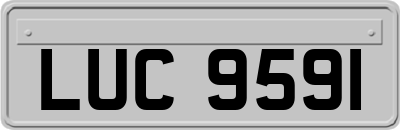 LUC9591