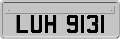 LUH9131