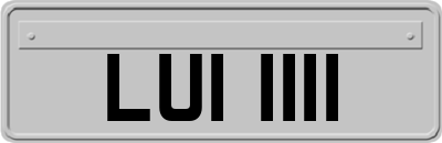 LUI1111