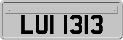 LUI1313