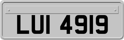 LUI4919