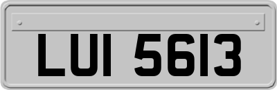 LUI5613
