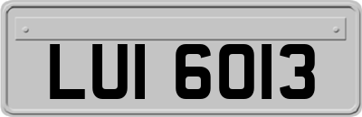 LUI6013