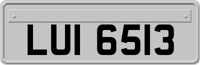 LUI6513