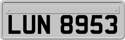 LUN8953