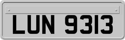 LUN9313
