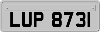 LUP8731