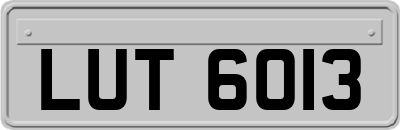 LUT6013