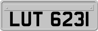 LUT6231