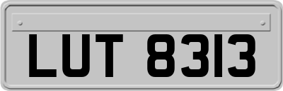 LUT8313