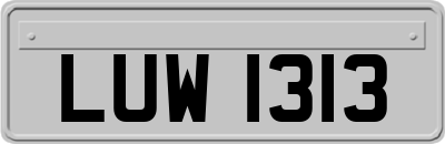 LUW1313
