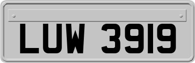 LUW3919