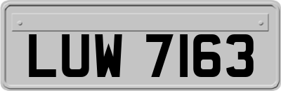 LUW7163