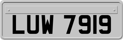 LUW7919