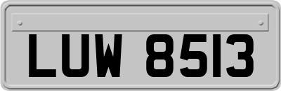 LUW8513